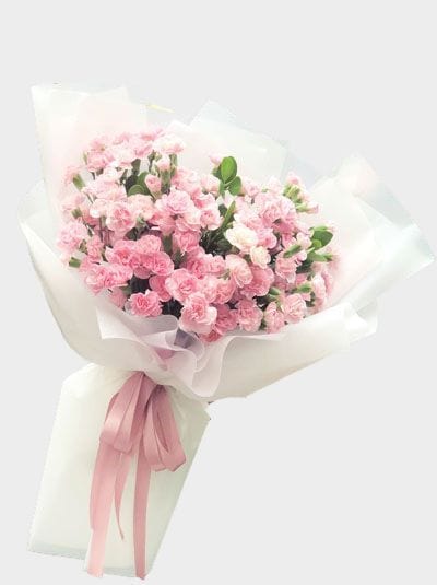 Bó hoa cẩm chướng hồng