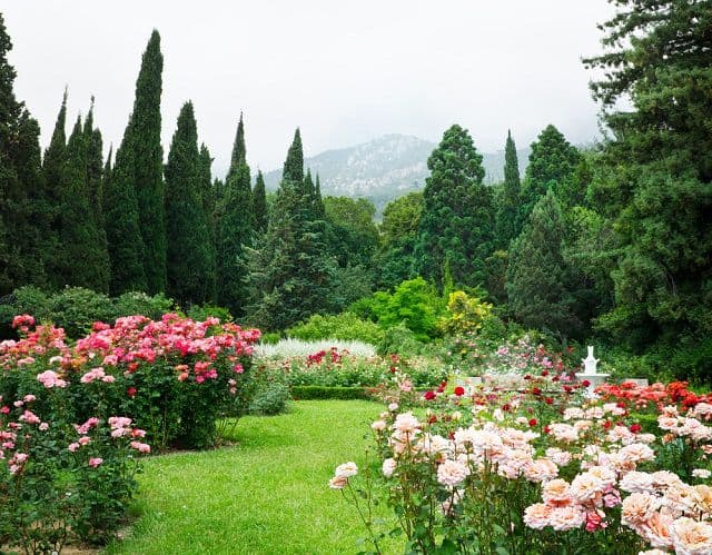Tìm hiểu hơn 111 hình nền vườn hoa hồng mới nhất - thdonghoadian