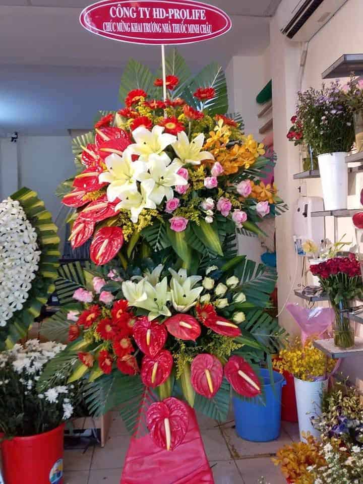 Shop hoa tuoi Ben Cau Tay Ninh