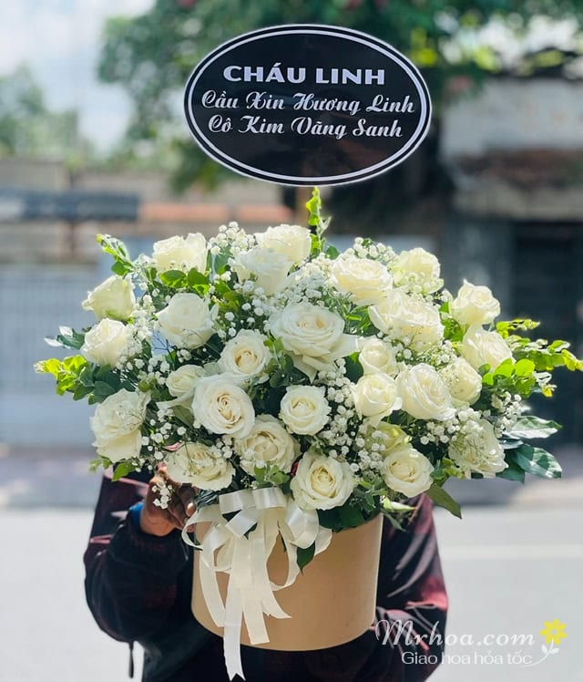 An Lạc