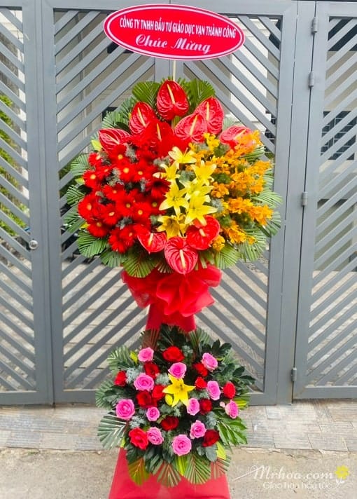 Hoa khai trương cánh chim đầu đàn