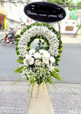 Hoa cúc trắng đi đám tang