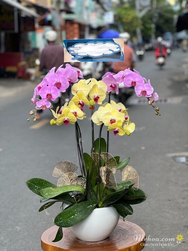 Hoa mừng ngày Doanh Nhân Việt Nam 12