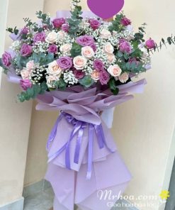 Bó hoa hồng tím và hồng màu hồng Đáng yêu