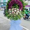 Hoa tang tím nhớ vô thường