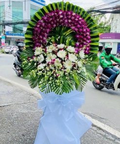 Hoa tang tím nhớ vô thường