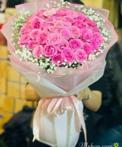 Bó hoa hồng sớm mai
