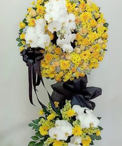 Dòng thời gian
