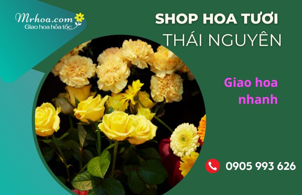 Shop hoa tươi Thái Nguyên