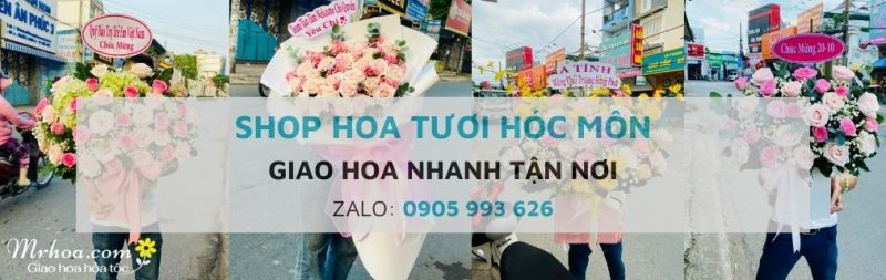 Shop hoa tươi Hóc Môn TpHCM