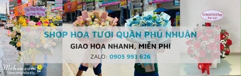 Shop hoa tươi quận Phú Nhuận TpHCM