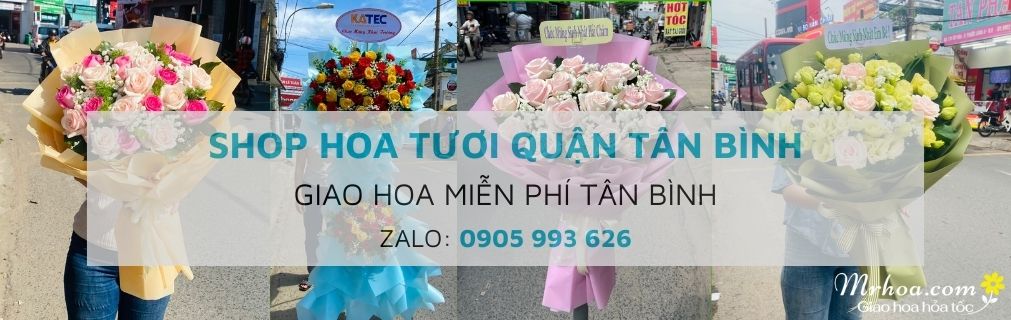 Shop hoa tươi quận Tân Bình TpHCM
