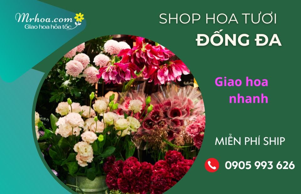 Shop hoa tươi Đống Đa Hà Nội