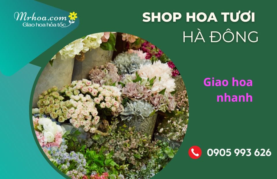 Shop hoa tươi Hà Đông Hà Nội
