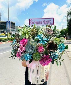 giỏ hoa sen đá