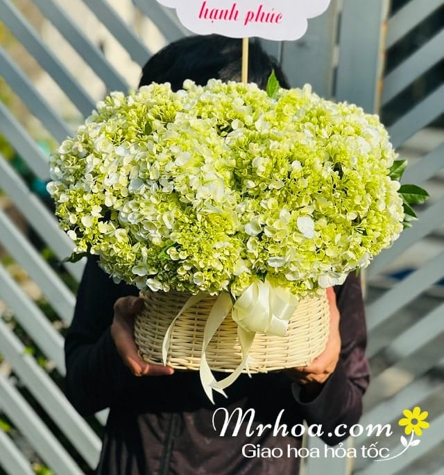 MrHoa.com