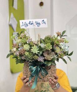 Hoa sen đá 1200
