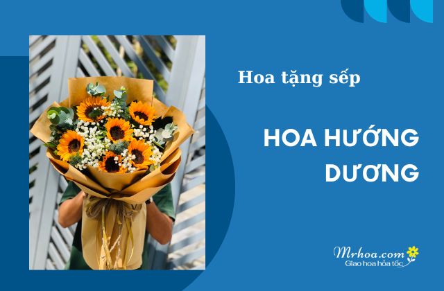 MrHoa.com