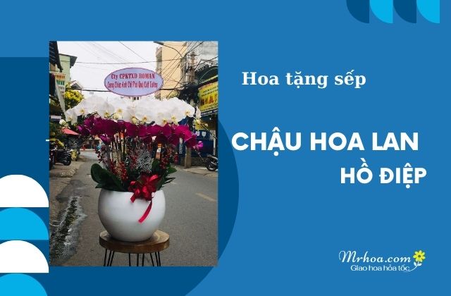 MrHoa.com