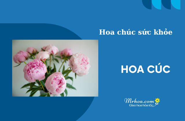 MrHoa.com