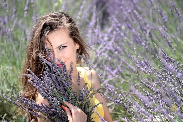 Cô gái và hoa lavender
