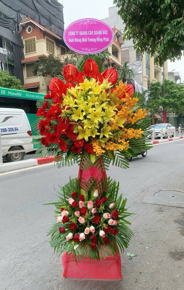 Giao hoa miễn phí ở Quỳnh Lưu Nghệ An
