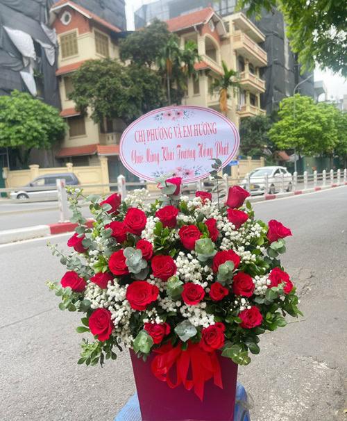 Hoa tươi Bình Xuyên Vĩnh Phúc