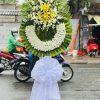 Hoa tươi Vĩnh Hưng Long An