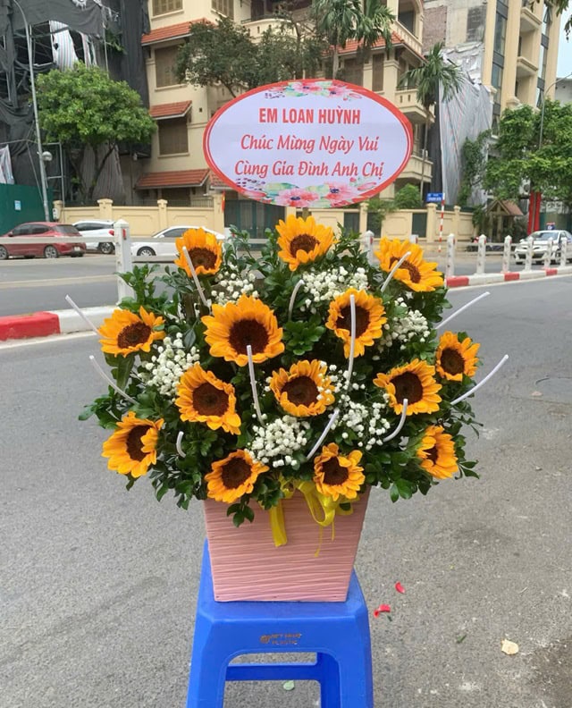 Shop hoa tươi Quỳnh Lưu