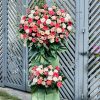 Hoa mừng khai giảng năm học mới