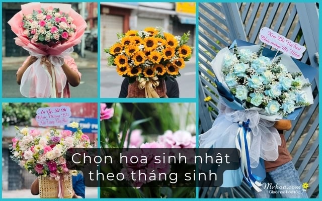 Chọn hoa sinh nhật theo tháng sinh