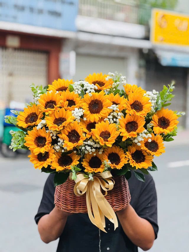Hoa hướng dương sinh nhật