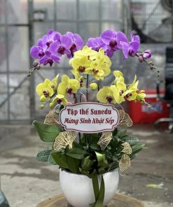 Hoa tặng sinh nhật cao cấp