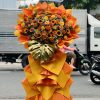 Tỏa sáng thành công