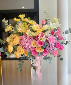 Vũ điệu sắc màu