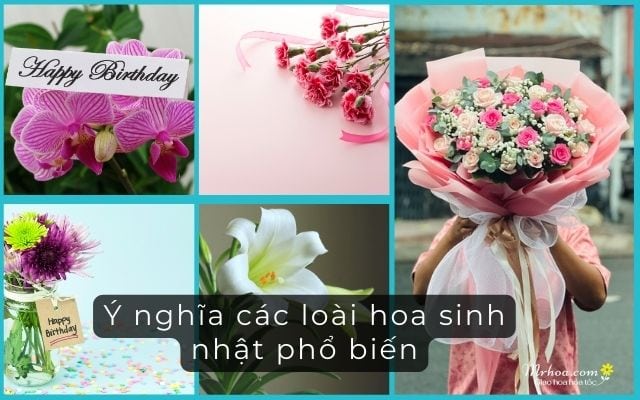 Ý nghĩa các loài hoa sinh nhật
