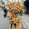 Rực rỡ thành công