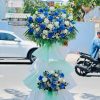 Điện hoa thành phố Hồ Chí Minh