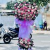 Hoa khai trương TpHCM