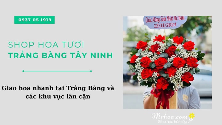 Hoa tươi Trảng Bàng Tây Ninh giao nhanh tận nơi uy tín hàng đầu