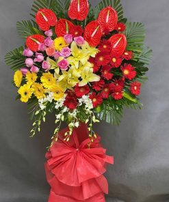 Tiệm hoa tươi An Phú An Giang