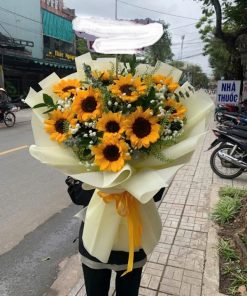 Bó hoa hướng dương
