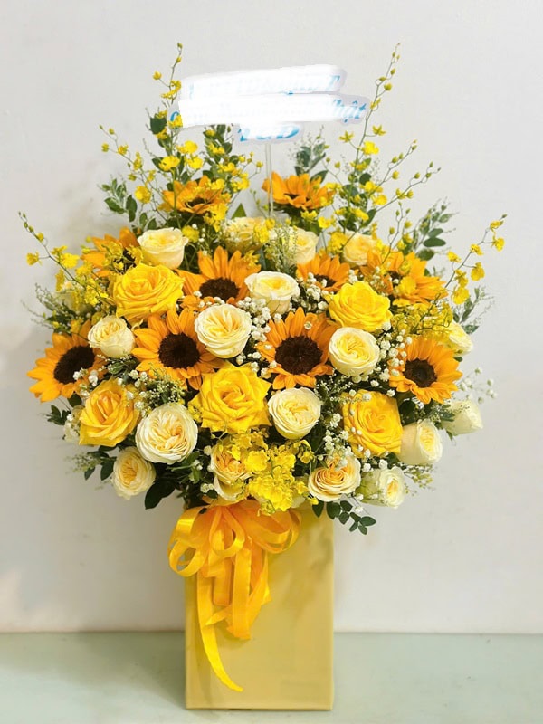 Nắng mai rạng rỡ