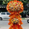 Khởi đầu rực rỡ