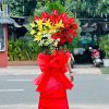 Shop hoa tươi phường Hòa Bình TpHCM