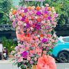 Sắc màu thành công